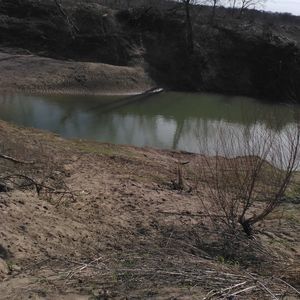 Meet your Posher, Yolanda